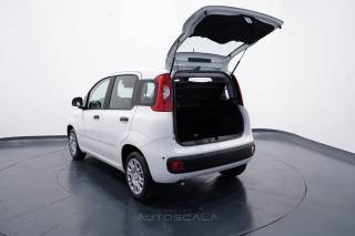 FIAT New Panda usata 26