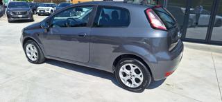 FIAT Punto usata 15