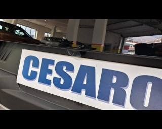 FIAT Grande Panda usata, con Controllo vocale