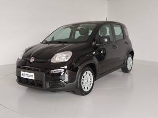 FIAT Panda 1.0 FireFly S&S Hybrid Pandina