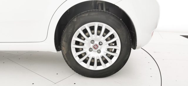 FIAT Punto usata 33