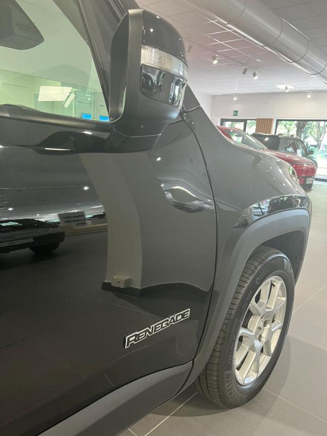 JEEP Renegade usata, con Climatizzatore