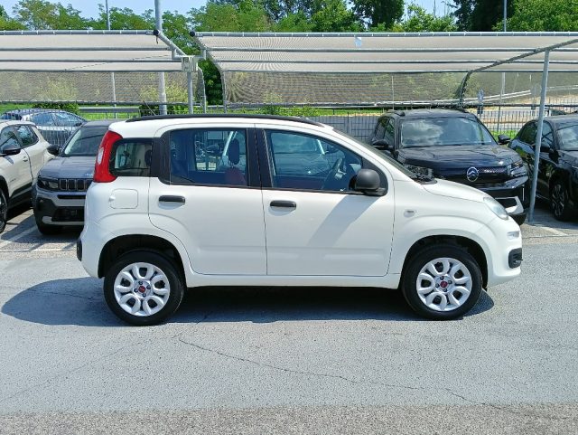FIAT Panda usata, con Alzacristalli elettrici