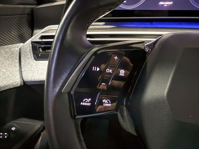 PEUGEOT 3008 usata, con Servosterzo