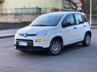 FIAT Panda 1.0 FireFly S&S Hybrid Pandina PROM-MO