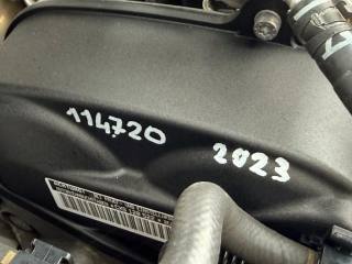 VOLKSWAGEN Golf usata, con Servosterzo