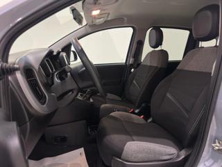 FIAT Panda usata, con Fendinebbia