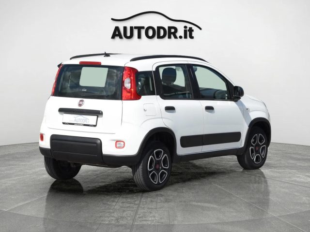 FIAT Panda usata 36