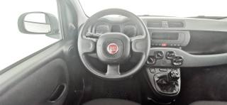 FIAT Panda usata 22
