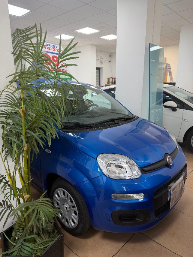 FIAT Panda usata, con Airbag