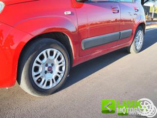 FIAT Panda usata 8