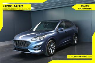 FORD Kuga 2.0 EcoBlue 120 CV aut. 2WD ST-Line