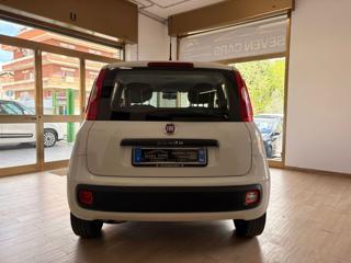 FIAT Panda usata, con Controllo trazione