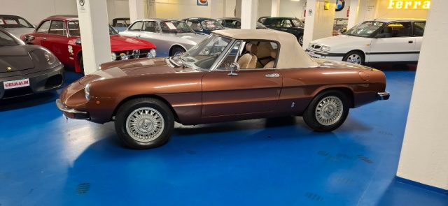 ALFA ROMEO Spider usata 10