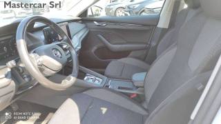 SKODA Octavia usata, con Fendinebbia