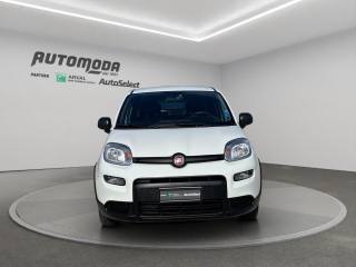 FIAT Panda usata, con ESP