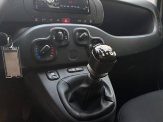 FIAT Panda usata, con Immobilizzatore elettronico