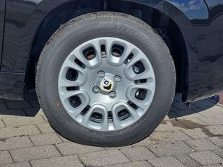 FIAT Panda usata 13