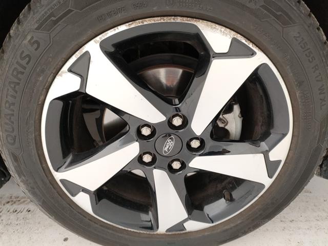FORD Focus usata, con Bracciolo