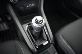 RENAULT Clio usata, con Fendinebbia