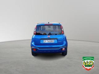 FIAT Panda Cross usata, con Chiusura centralizzata