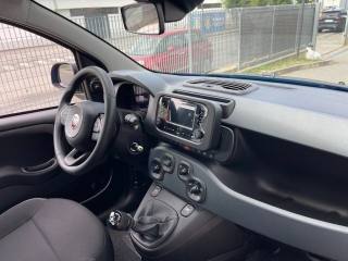 FIAT Panda usata, con Cruise Control