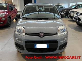 FIAT Panda usata, con Airbag testa
