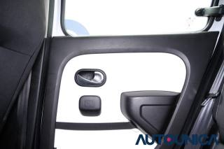 RENAULT Twingo usata 38