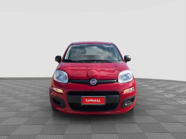 FIAT Panda usata 7