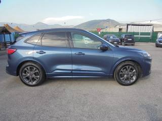 FORD Kuga usata, con Sensori di parcheggio posteriori