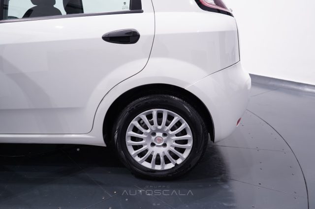 FIAT Punto usata 22