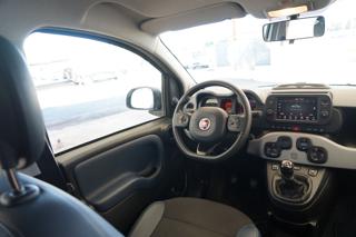 FIAT Panda Cross usata 22