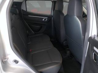 DACIA Spring usata 15