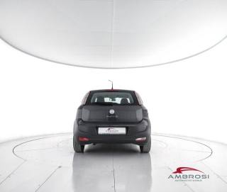 FIAT Punto usata 5