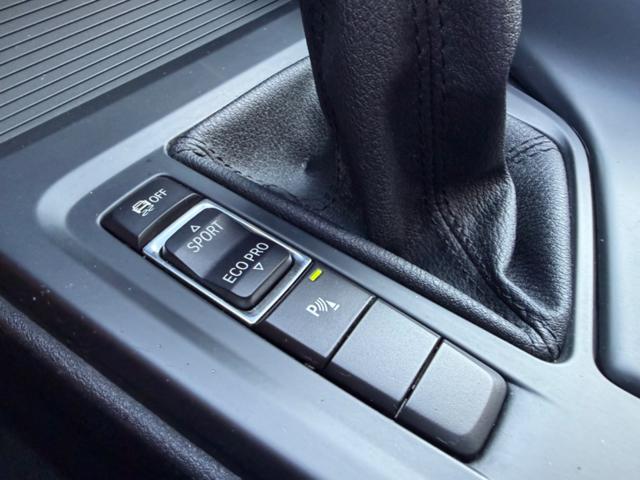 BMW X1 usata, con Monitoraggio pressione pneumatici