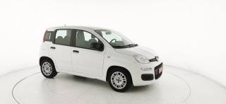 FIAT Panda usata 21
