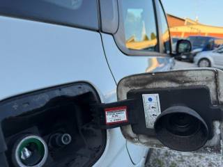 FIAT Panda usata, con Fendinebbia