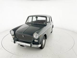 FIAT 1100 usata 20