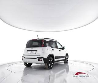 FIAT Panda usata 2