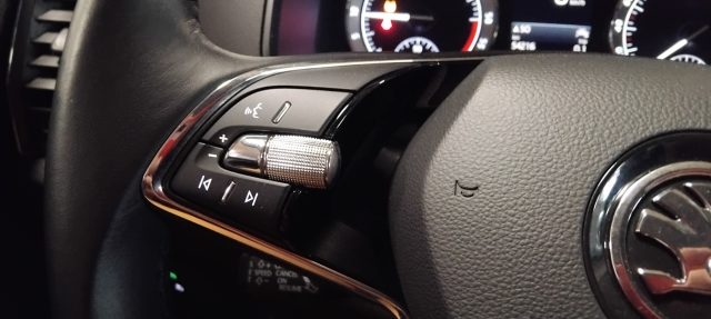 SKODA Karoq usata, con Telecamera per parcheggio assistito