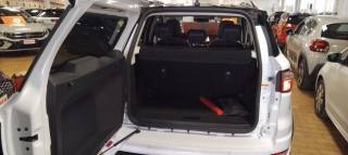 FORD EcoSport usata, con Cruise Control