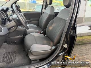 FIAT Panda usata, con Cronologia tagliandi