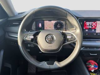 SKODA Octavia usata 12