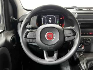 FIAT Panda usata 18