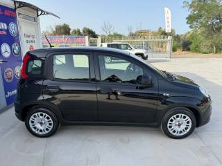 FIAT Panda usata, con Antifurto
