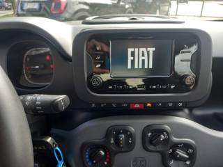 FIAT Panda usata, con Immobilizzatore elettronico