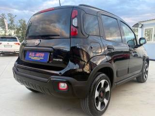 FIAT Panda Cross usata, con Controllo trazione