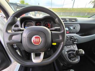 FIAT Panda usata 15