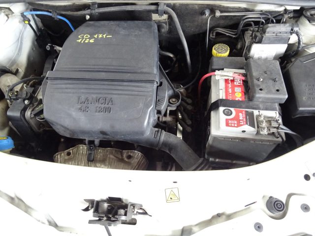 LANCIA Ypsilon usata, con Servosterzo