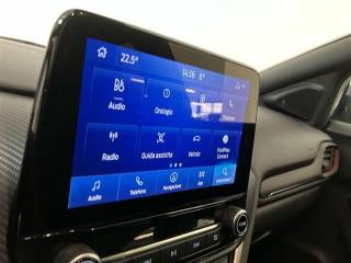 FORD Puma usata, con Fendinebbia